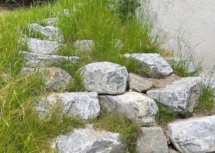 Casa Campanula By Interhome * Laax